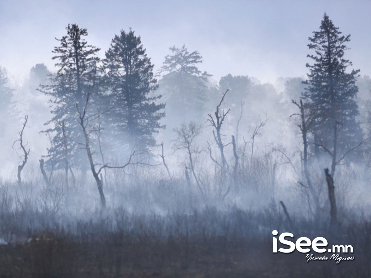 Увс аймагт гарсан ой, хээрийн түймрийг цурамд оруулж, бүрэн унтраахаар ажиллаж байна